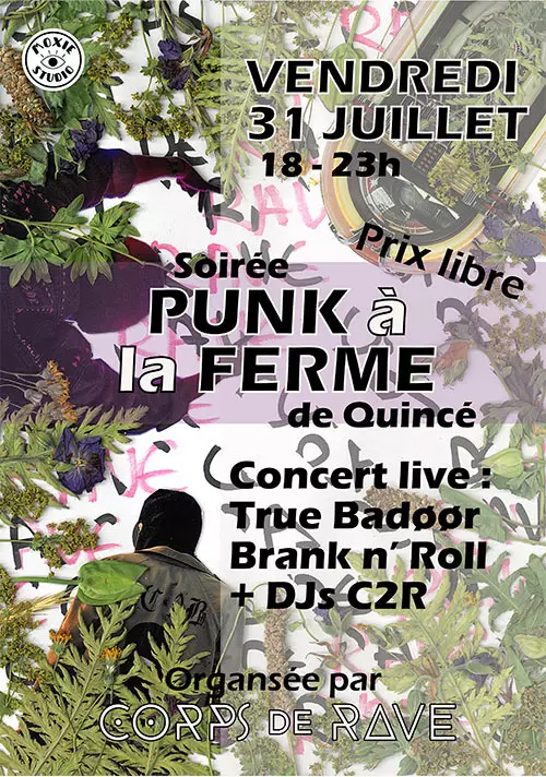 Concert punk Soirée Punk à la Ferme de Quincé - Saint-Grégoire le 31/07/2026 | Agenda concert punk